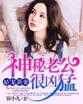 娇宠新妻:神秘老公很凶猛
