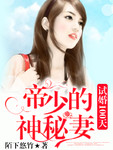 试婚100天:帝少宠妻七天七夜