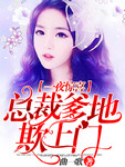 一夜惊喜:总裁爹地欺上门