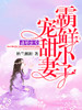 盛婚蜜爱:霸宠鲜甜小妻子